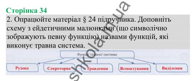 Відповідь до завдання 2 (с. 34) з біології для 8 класу (Кулініч, 2025): Будова та функції травної системи