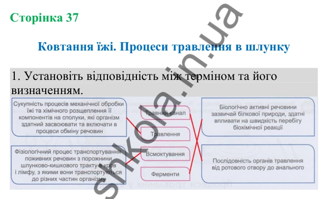 Відповідь до завдання 1 (с. 37) з біології для 8 класу (Кулініч, 2025): Ковтання їжі. Процеси травлення в шлунку