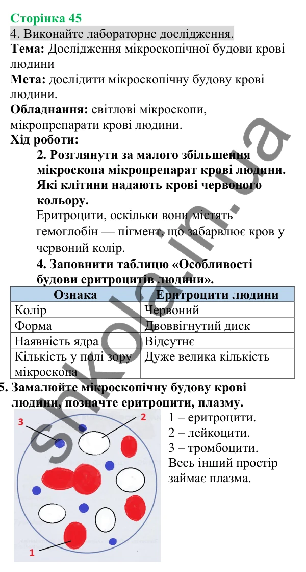Відповідь до завдання 4 (с. 45) з біології для 8 класу (Кулініч, 2025): Внутрішнє середовище організму людини