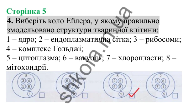 Відповідь до завдання 4 (с. 5) з біології для 8 класу (Кулініч, 2025): Організм людини як саморегульована біологічна