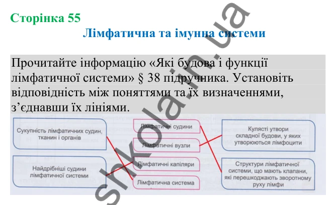 Відповідь до додаткового завдання (с. 55) з біології для 8 класу (Кулініч, 2025): Лімфатична та імунна системи