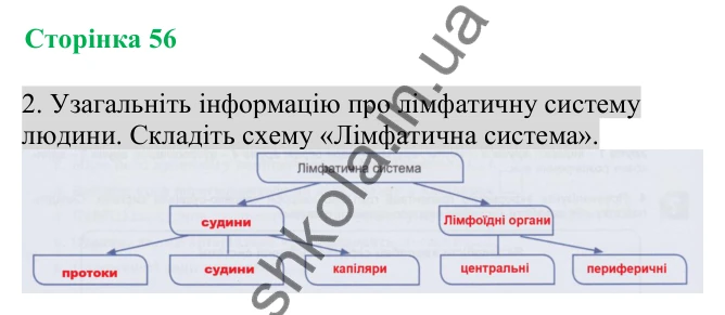 Відповідь до завдання 2 (с. 56) з біології для 8 класу (Кулініч, 2025): Лімфатична та імунна системи