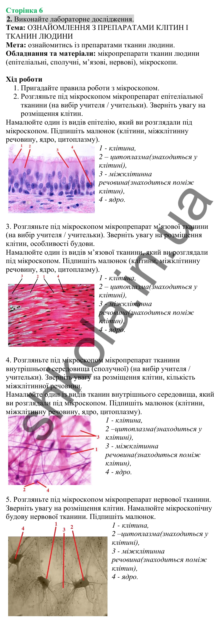 Відповідь до завдання 2 (с. 6) з біології для 8 класу (Кулініч, 2025): Тканини організму людини