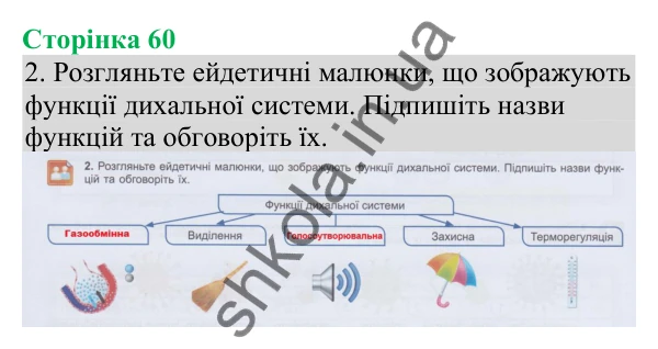 Відповідь до завдання 2 (с. 60) з біології для 8 класу (Кулініч, 2025): Дихальна система та газообмін