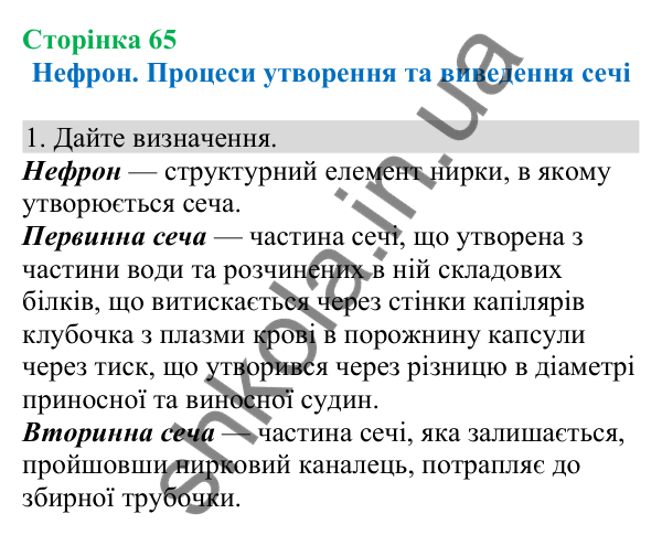 Відповідь до завдання 1 (с. 65) з біології для 8 класу (Кулініч, 2025): Нефрон. Процеси утворення та виведення сечі