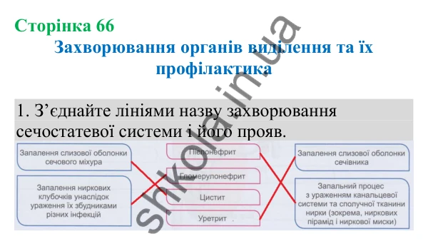 Відповідь до завдання 1 (с. 66) з біології для 8 класу (Кулініч, 2025): Захворювання органів виділення та їх
