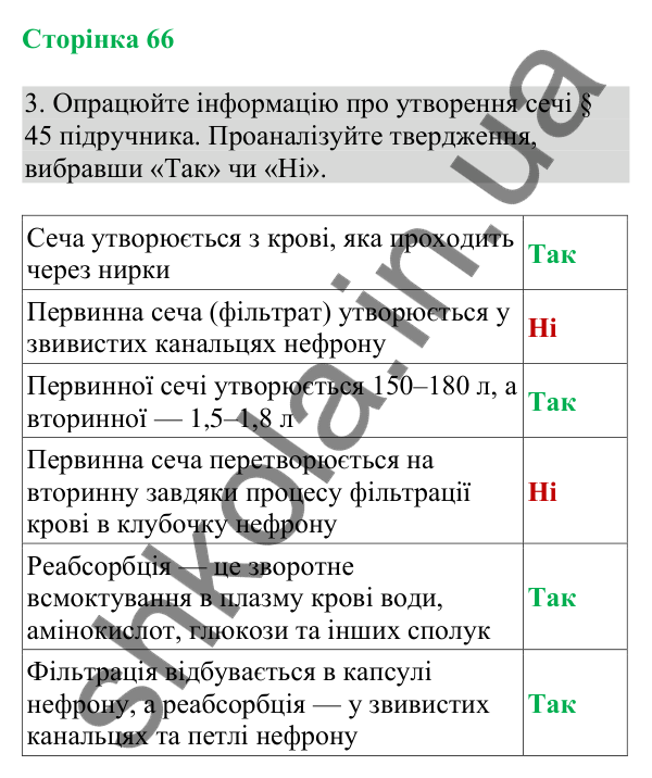 Відповідь до завдання 3 (с. 66) з біології для 8 класу (Кулініч, 2025): Нефрон. Процеси утворення та виведення сечі