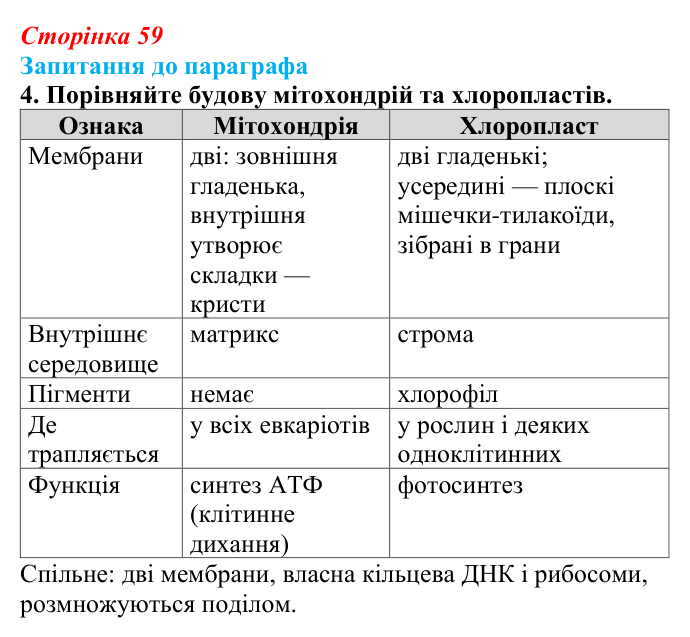 Відповідь до завдання 4 (с. 59) з біології для 9 класу, Андерсон 2026: § 12 Цитоплазма й основні клітинні органели