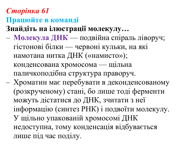 Відповідь до завдання для роботи в команді (с. 61) з біології для 9 класу, Андерсон 2026: § 13 Ядро: будова та функції