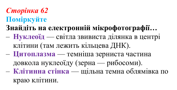 Відповідь до запитання «Поміркуйте» (с. 62) з біології для 9 класу, Андерсон 2026: § 14 Типи клітин. Рослинна, тваринна...