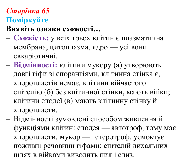 Відповідь до запитання «Поміркуйте» (с. 65) з біології для 9 класу, Андерсон 2026: § 14 Типи клітин. Рослинна, тваринна...