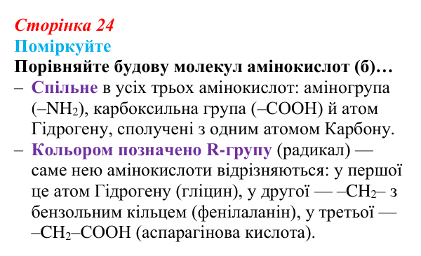 Відповідь до запитання «Поміркуйте» (с. 24) з біології для 9 класу, Андерсон 2026: § 5 Білки: структурна організація...