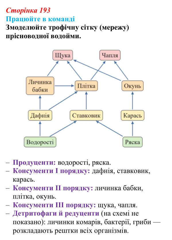 Відповідь до завдання для роботи в команді (с. 193) з біології для 9 класу, Андерсон 2026: § 51 Харчові зв’язки та потоки...