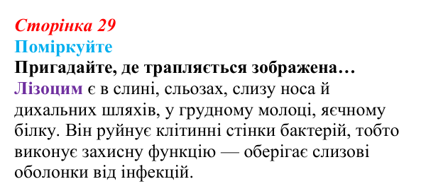 Відповідь до запитання «Поміркуйте» (с. 29) з біології для 9 класу, Андерсон 2026: § 6 Ферменти, їх біологічна роль