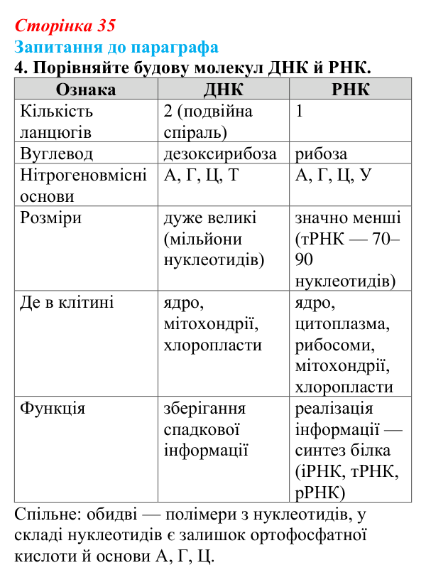 Відповідь до завдання 4 (с. 35) з біології для 9 класу, Андерсон 2026: § 7 Нуклеїнові кислоти: структурна організація...