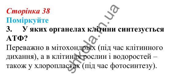 Відповідь до «Поміркуйте» 3 § 10 (с. 38) з біології для 9 класу (Балан, 2026): Нуклеїнові кислоти