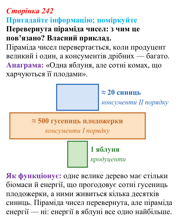 Відповідь до запитання «Поміркуйте» (с. 242) з біології для 9 класу, Горобець 2026: потоки енергії, екологічні піраміди...