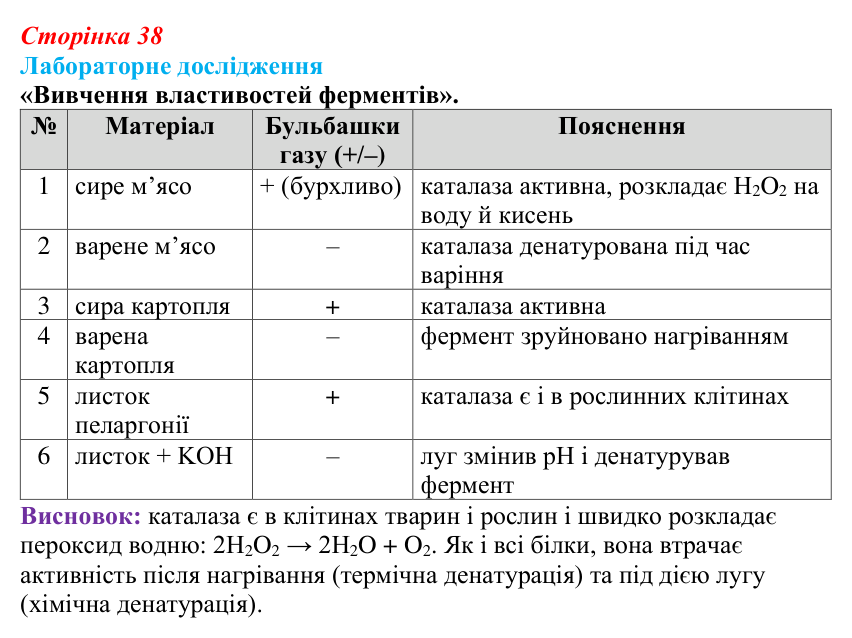 Відповідь до лабораторного дослідження (с. 38) з біології для 9 класу, Горобець 2026: функції та властивості білків, ферменти