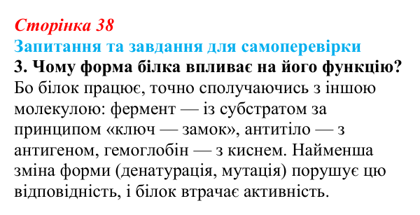 Відповідь до завдання 3 (с. 38) з біології для 9 класу, Горобець 2026: функції та властивості білків, ферменти