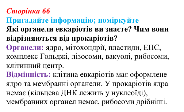Відповідь до запитання «Поміркуйте» (с. 66) з біології для 9 класу, Горобець 2026: структура евкаріотичної клітини, ядро