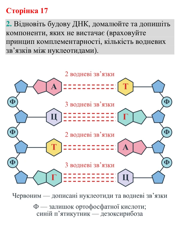 Відповідь до завдання 2 (с. 17) з біології для 9 класу (Кулініч, 2026): Нуклеїнові кислоти: РНК. АТФ