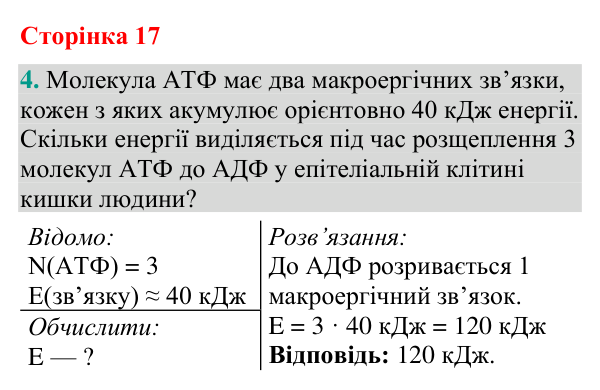 Відповідь до завдання 4 (с. 17) з біології для 9 класу (Кулініч, 2026): Нуклеїнові кислоти: РНК. АТФ
