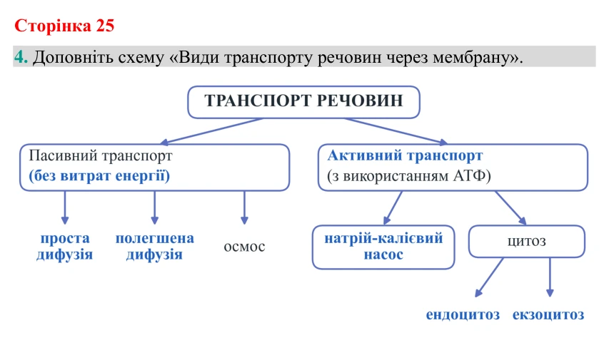 Відповідь до завдання 4 (с. 25) з біології для 9 класу (Кулініч, 2026): Мембрана й надмембранні комплекси