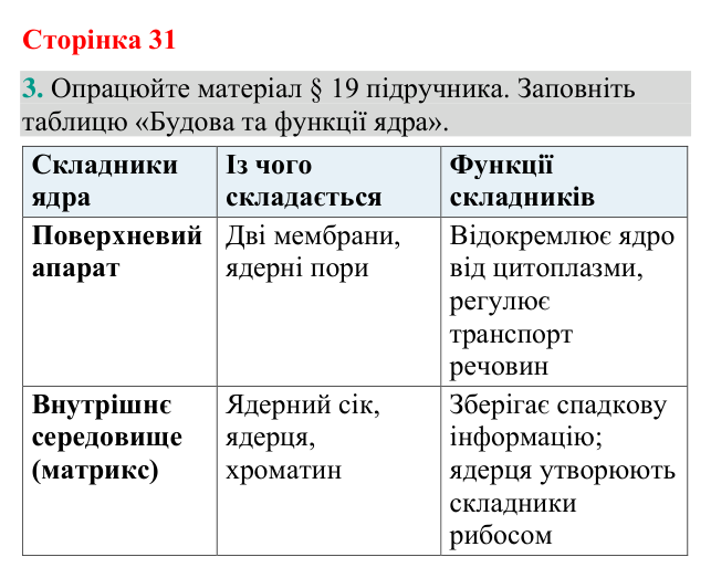 Відповідь до завдання 3 (с. 31) з біології для 9 класу (Кулініч, 2026): Ядро клітини