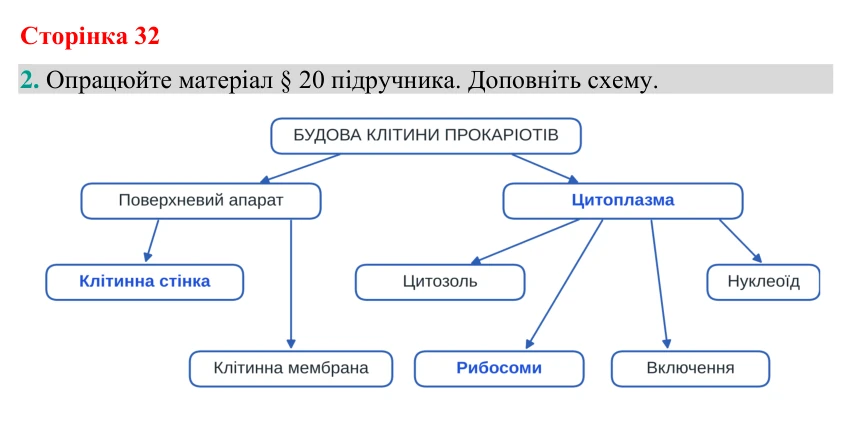 Відповідь до завдання 2 (с. 32) з біології для 9 класу (Кулініч, 2026): Будова прокаріотичної клітини