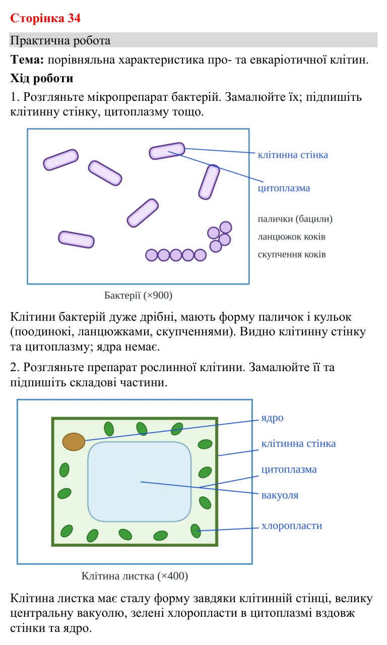 Відповідь до практичної роботи (с. 34) з біології для 9 класу (Кулініч, 2026): Будова прокаріотичної клітини