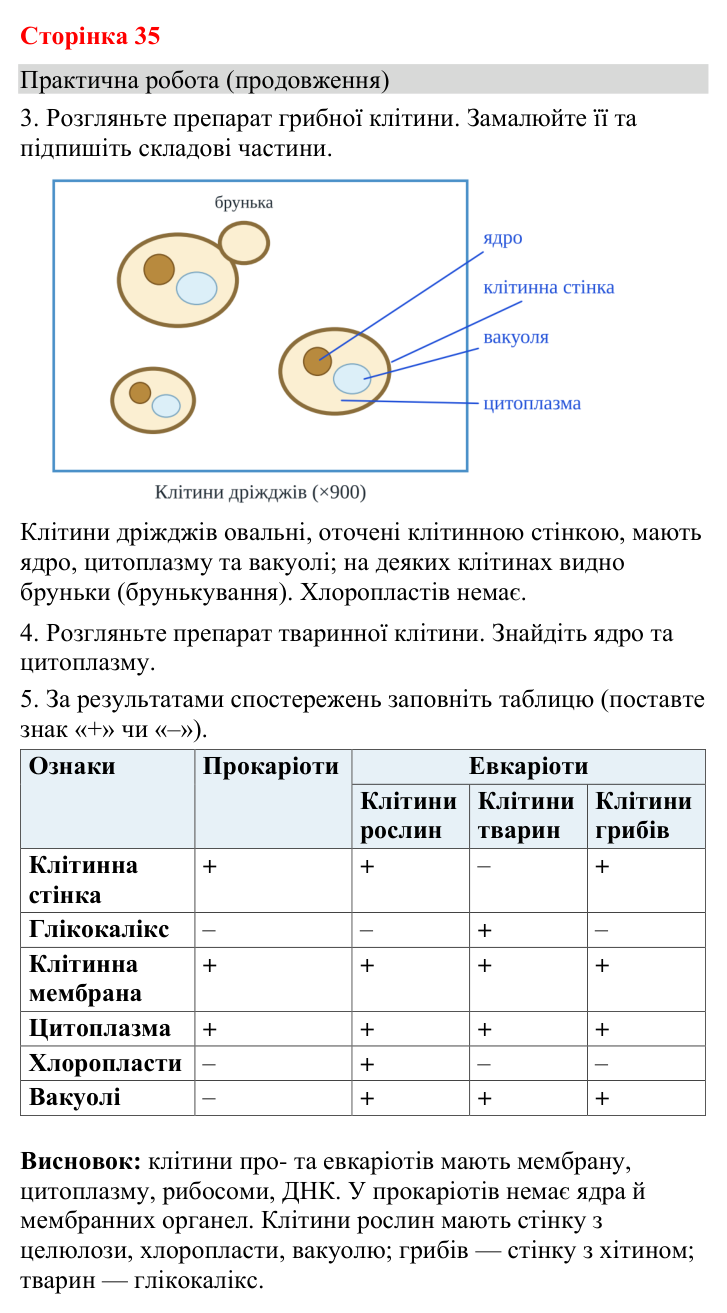 Відповідь до практичної роботи (с. 35) з біології для 9 класу (Кулініч, 2026): Будова прокаріотичної клітини