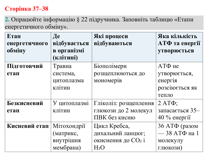 Відповідь до завдання 2 (с. 37-38) з біології для 9 класу (Кулініч, 2026): Етапи енергетичного обміну