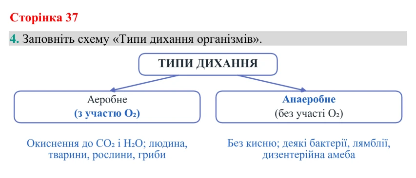 Відповідь до завдання 4 (с. 37) з біології для 9 класу (Кулініч, 2026): Обмін речовин та енергії