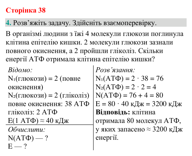 Відповідь до завдання 4 (с. 38) з біології для 9 класу (Кулініч, 2026): Етапи енергетичного обміну