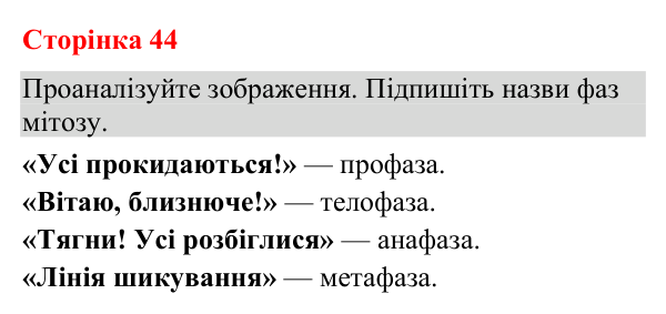 Відповідь до додаткового завдання (с. 44) з біології для 9 класу (Кулініч, 2026): Клітинний цикл. Мітоз