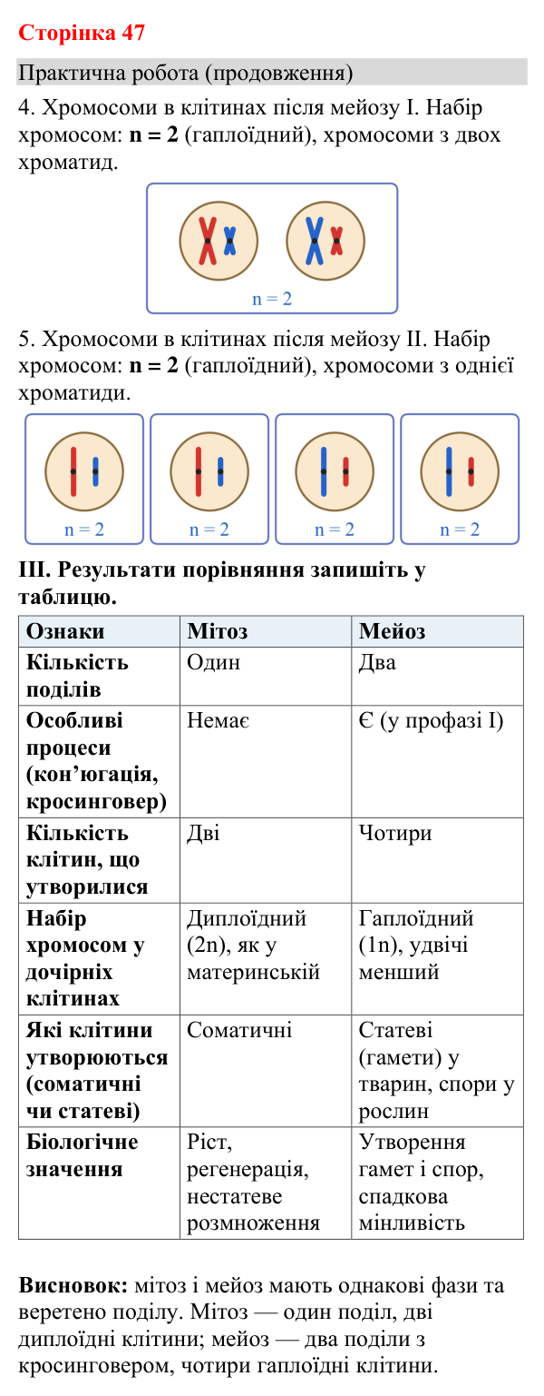 Відповідь до практичної роботи (с. 47) з біології для 9 класу (Кулініч, 2026): Мейоз. Клітинна теорія