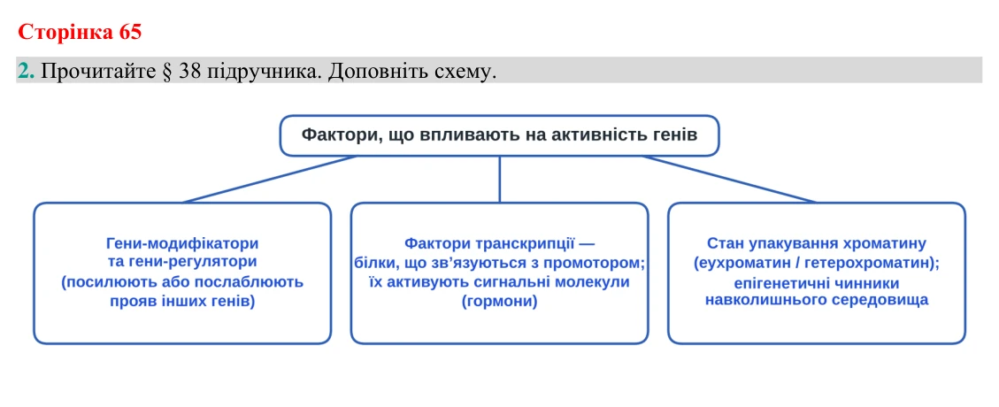 Відповідь до завдання 2 (с. 65) з біології для 9 класу (Кулініч, 2026): Регуляція активності генів