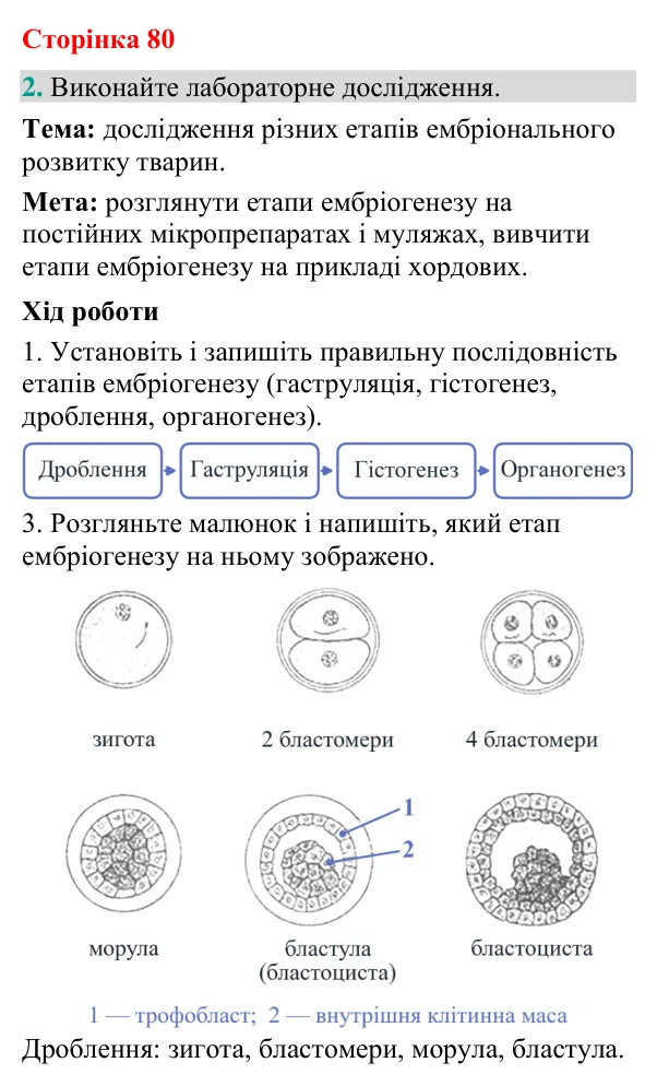 Відповідь до завдання 2 (с. 80) з біології для 9 класу (Кулініч, 2026): Ембріональний розвиток
