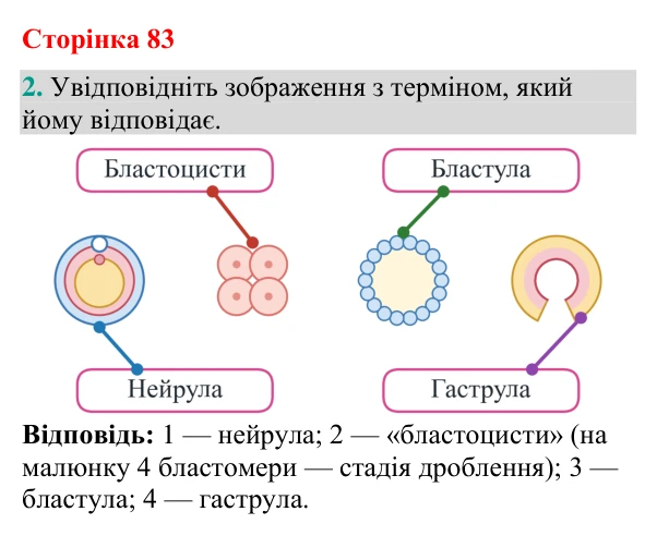 Відповідь до завдання 2 (с. 83) з біології для 9 класу (Кулініч, 2026): Післязародковий розвиток