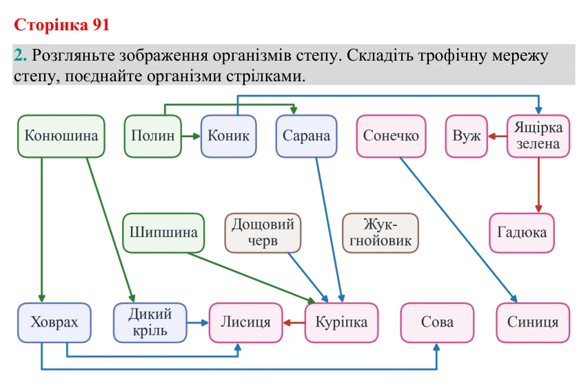 Відповідь до завдання 2 (с. 91) з біології для 9 класу (Кулініч, 2026): Потоки енергії, колообіг речовин