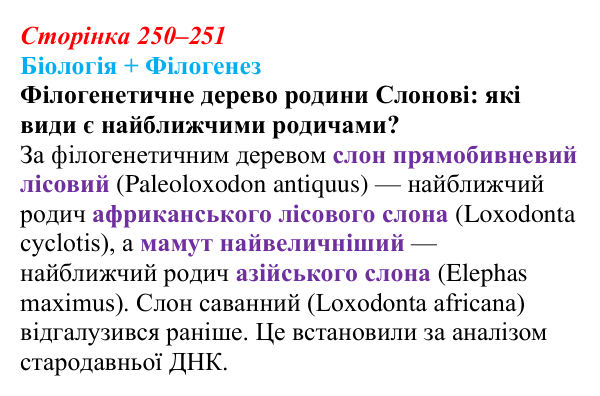 Відповідь до питання 1 на с. 250–251 (§ 14.2) з біології для 9 класу, Соболь 2026: Філогенез вірусів та прокаріотів