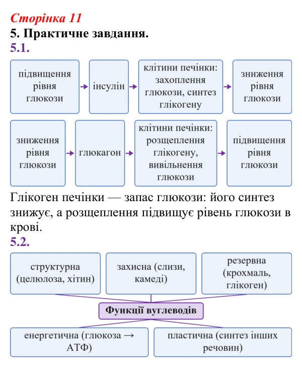 Відповідь до завдання 5 (с. 11) з біології для 9 класу, Тагліна 2026, робочий зошит: Структура та біологічні функції...