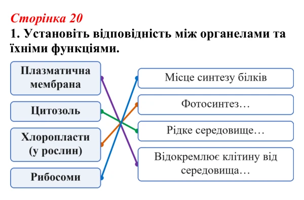 Відповідь до завдання 1 (с. 20) з біології для 9 класу, Тагліна 2026, робочий зошит: Клітина, клітинна теорія