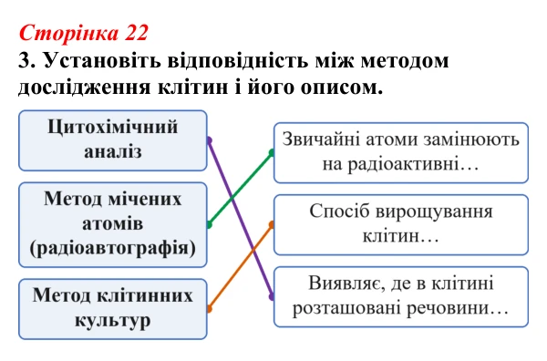 Відповідь до завдання 3 (с. 22) з біології для 9 класу, Тагліна 2026, робочий зошит: Методи дослідження клітин, цитологія