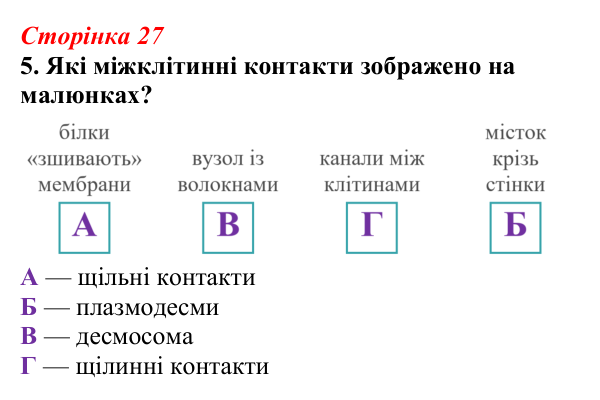 Відповідь до завдання 5 (с. 27) з біології для 9 класу, Тагліна 2026, робочий зошит: Клітинні мембрани, плазматична...