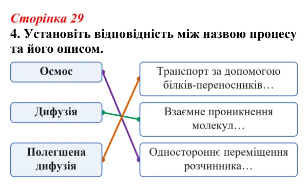 Відповідь до завдання 4 (с. 29) з біології для 9 класу, Тагліна 2026, робочий зошит: Транспорт речовин крізь клітинну...