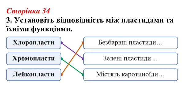 Відповідь до завдання 3 (с. 34) з біології для 9 класу, Тагліна 2026, робочий зошит: Мітохондрії та пластиди