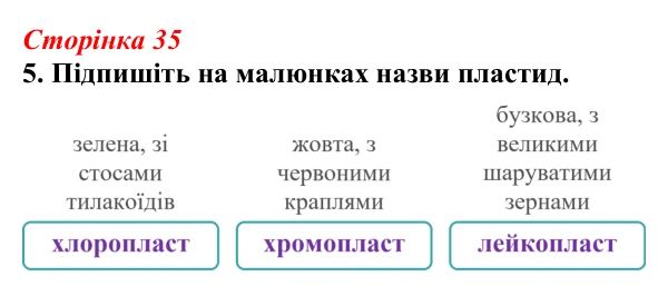 Відповідь до завдання 5 (с. 35) з біології для 9 класу, Тагліна 2026, робочий зошит: Мітохондрії та пластиди