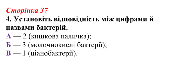 Відповідь до завдання 4 (с. 37) з біології для 9 класу, Тагліна 2026, робочий зошит: Прокаріоти й евкаріоти, рослинна...