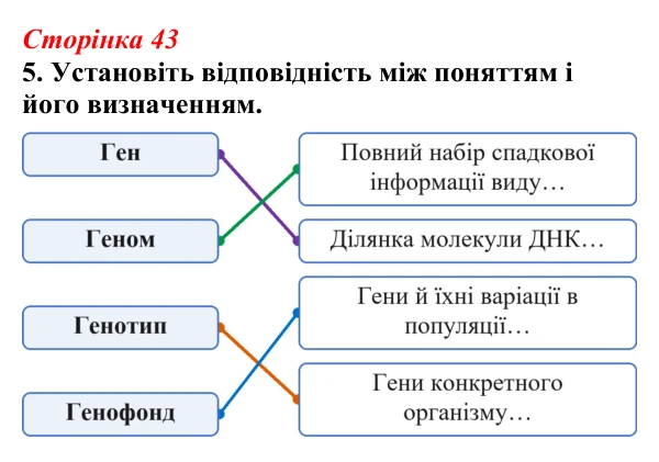 Відповідь до завдання 5 (с. 43) з біології для 9 класу, Тагліна 2026, робочий зошит: Молекулярна генетика, подвоєння ДНК...